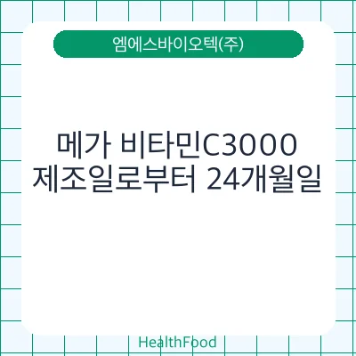 메가 비타민C3000