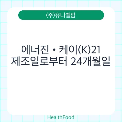 에너진•케이(K)21