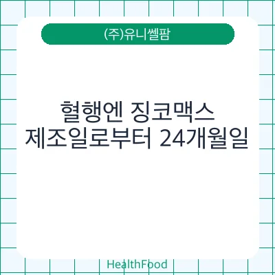 혈행엔 징코맥스