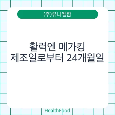 활력엔 메가킹