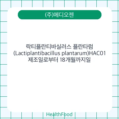 락티플란티바실러스 플란타럼(Lactiplantibacillus plantarum)HAC01