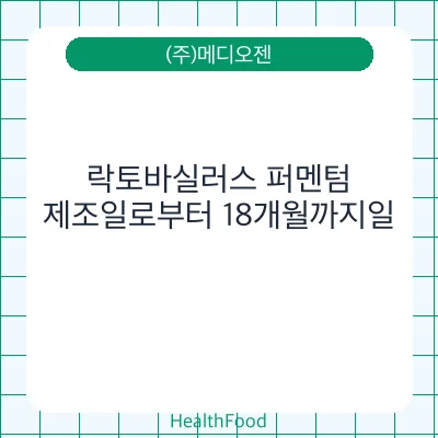 락토바실러스 퍼멘텀
