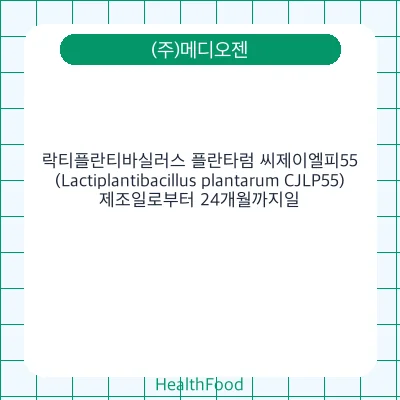 락티플란티바실러스 플란타럼 씨제이엘피55(Lactiplantibacillus plantarum CJLP55)