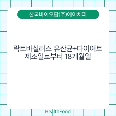 락토바실러스 유산균+다이어트