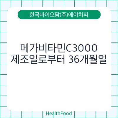 메가비타민C3000