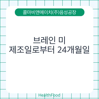 브레인 미
