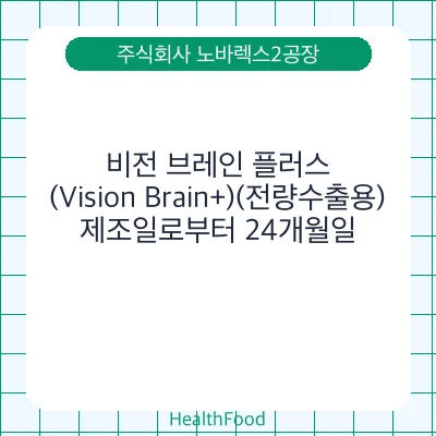 비전 브레인 플러스(Vision Brain+)(전량수출용)