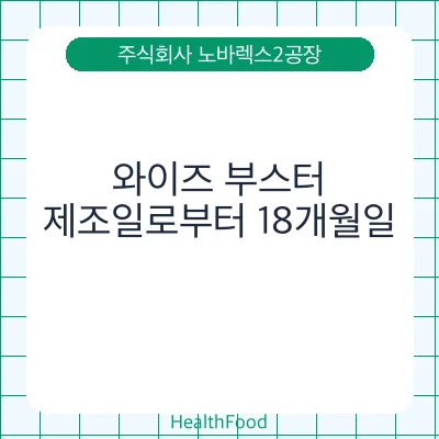 와이즈 부스터
