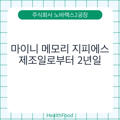 마이니 메모리 지피에스