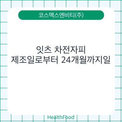 잇츠 차전자피