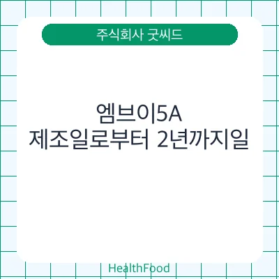 엠브이5A