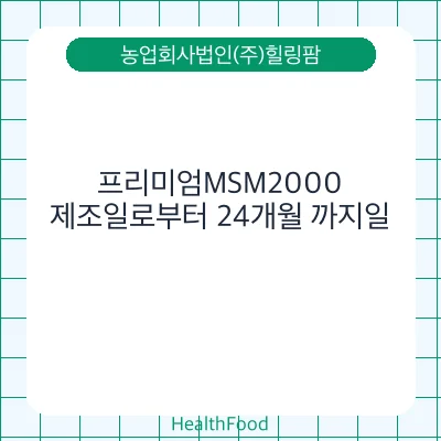 프리미엄MSM2000