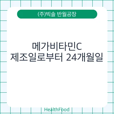 메가비타민C