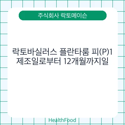 락토바실러스 플란타룸 피(P)1