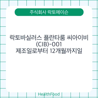 락토바실러스 플란타룸 씨아이비(CIB)-001