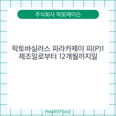 락토바실러스 파라카제이 피(P)1