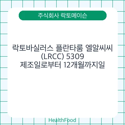 락토바실러스 플란타룸 엘알씨씨(LRCC) 5309