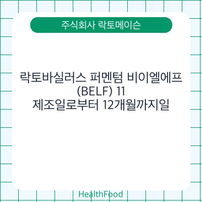 락토바실러스 퍼멘텀 비이엘에프(BELF) 11