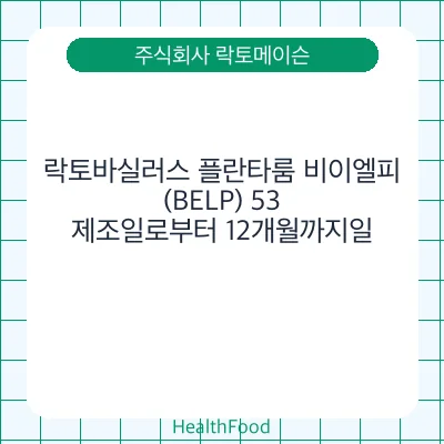 락토바실러스 플란타룸 비이엘피(BELP) 53