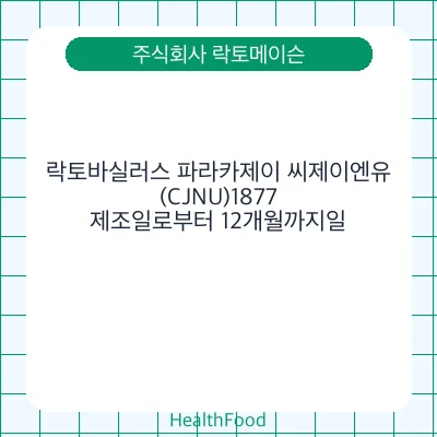 락토바실러스 파라카제이 씨제이엔유(CJNU)1877