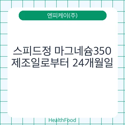 스피드정 마그네슘350