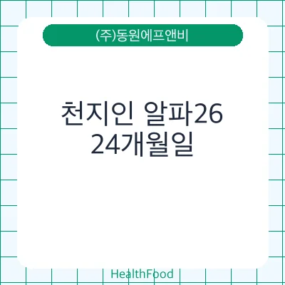 천지인 알파26