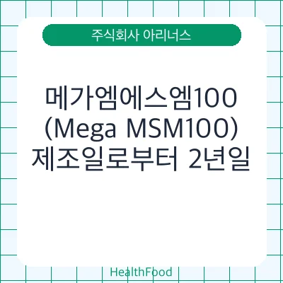 메가엠에스엠100(Mega MSM100)