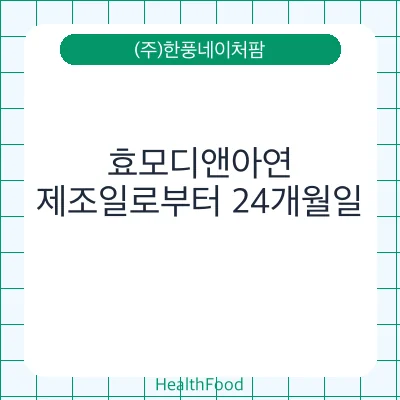효모디앤아연