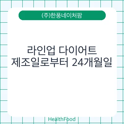 라인업 다이어트