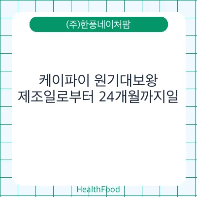 케이파이 원기대보왕