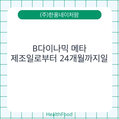 B다이나믹 메타