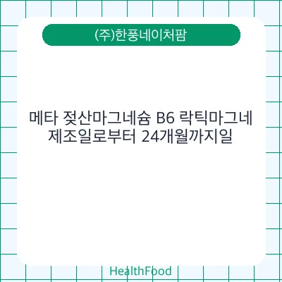 메타 젖산마그네슘 B6 락틱마그네
