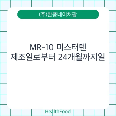 MR-10 미스터텐