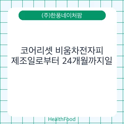 코어리셋 비움차전자피
