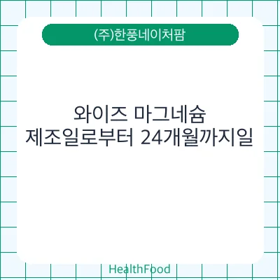 와이즈 마그네슘