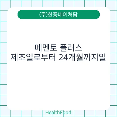메멘토 플러스