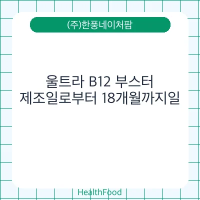울트라 B12 부스터