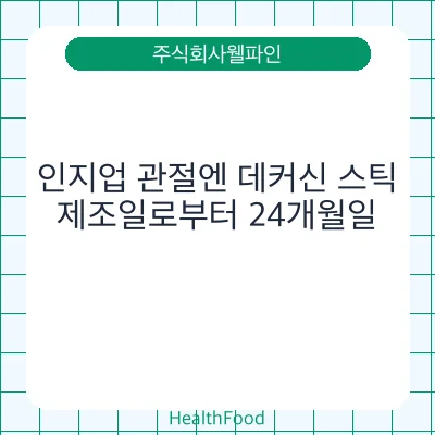 인지업 관절엔 데커신 스틱