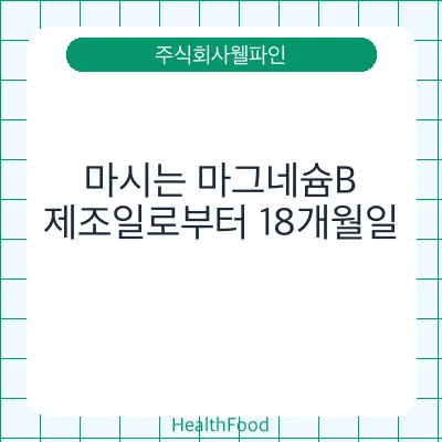 마시는 마그네슘B