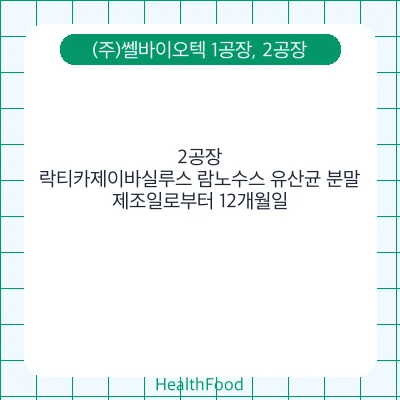 락티카제이바실루스 람노수스 유산균 분말