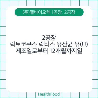 락토코쿠스 락티스 유산균 유(U)