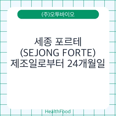 세종 포르테(SEJONG FORTE)