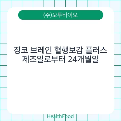 징코 브레인 혈행보감 플러스