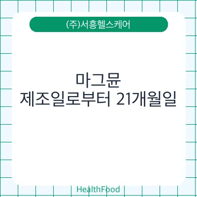 마그뮨