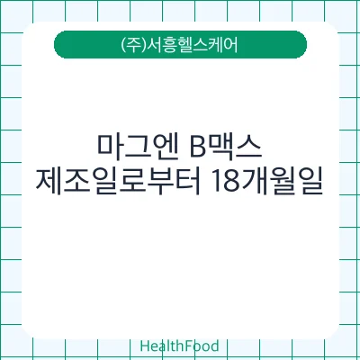마그엔 B맥스