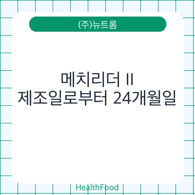 메치리더 II