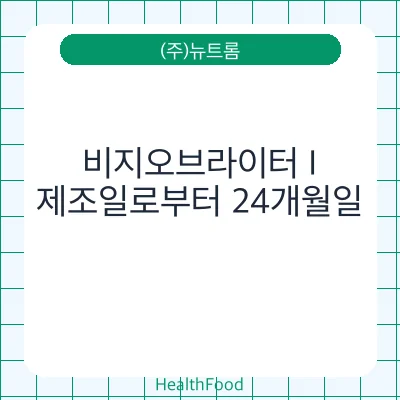 비지오브라이터 I
