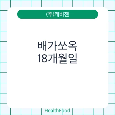배가쏘옥