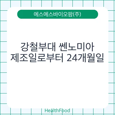 강철부대 쎈노미아