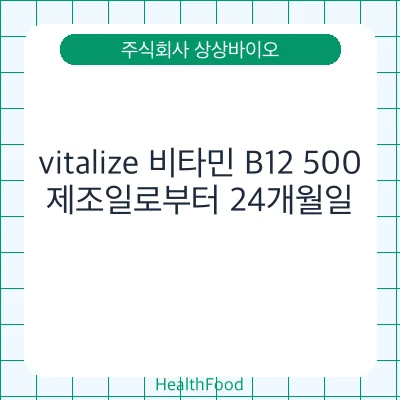 vitalize 비타민 B12 500